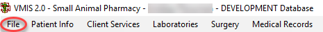 file.png